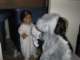 img_2399_small.jpg