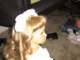 img_6557_small.jpg
