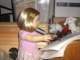 img_6589_small.jpg