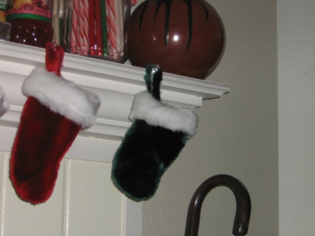 img_3795.jpg