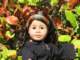 img_3366_small.jpg