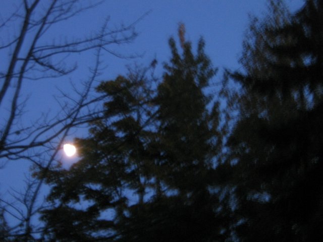 img_3611.jpg