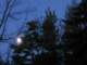 img_3611_small.jpg