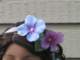 img_4964_small.jpg